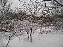 P2050026.JPG